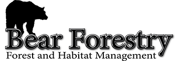 Bear Forestry Logo